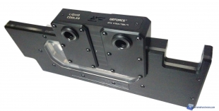 Komodo-ND-LE-3